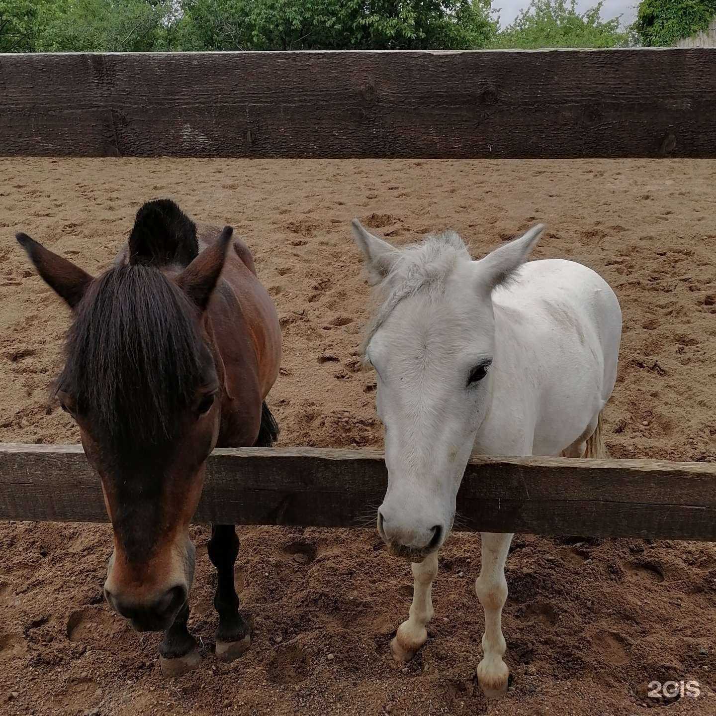 Отзывы на компанию Мечта в г. Пермь c фото
