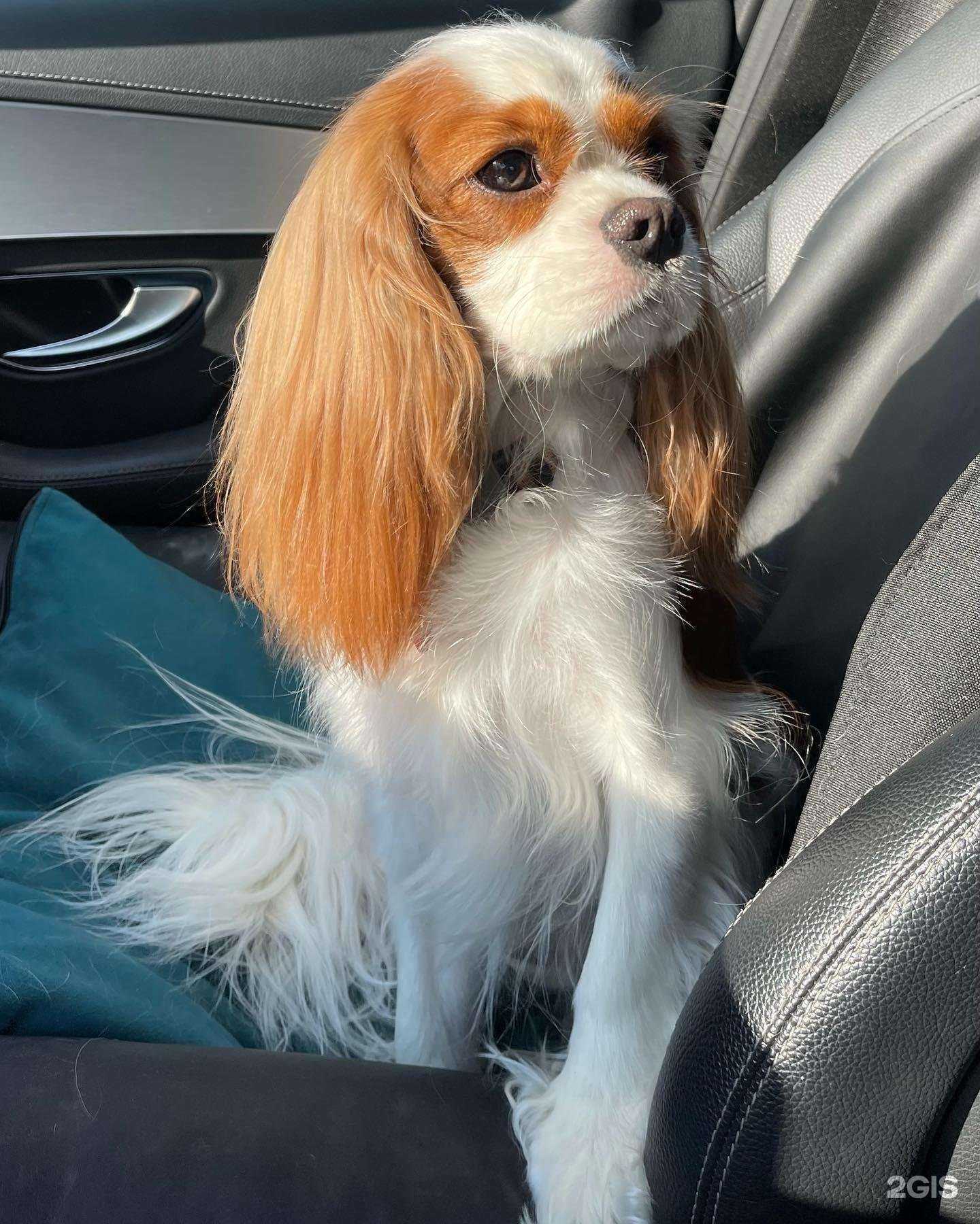 Отзывы на компанию Groom в г. Уфа c фото