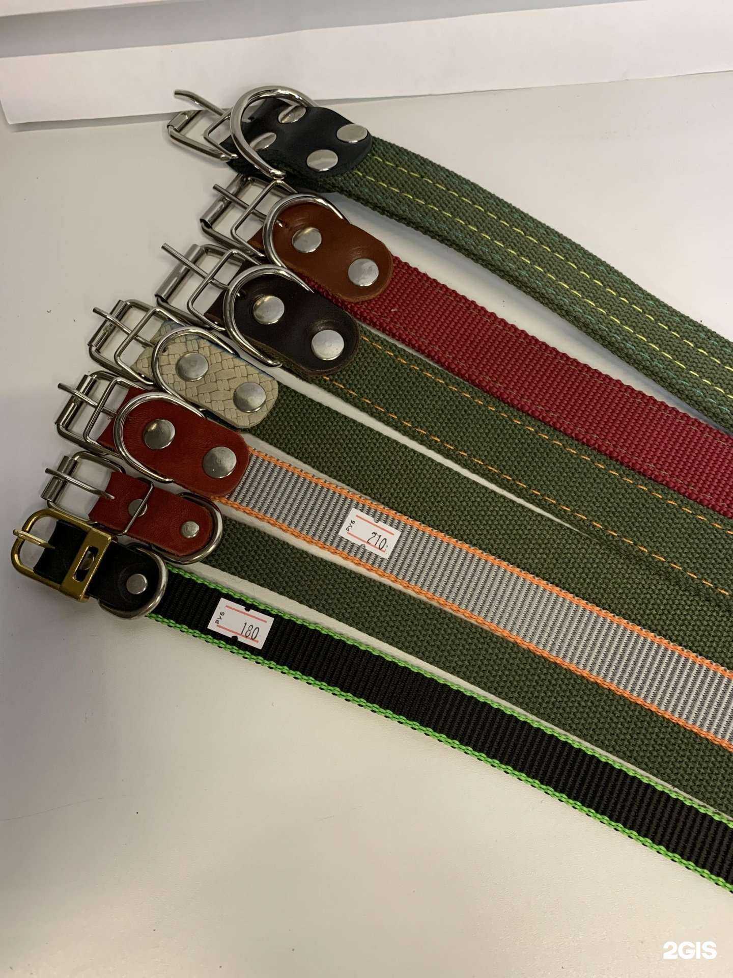 Отзывы на компанию Animall в Кирове c фото