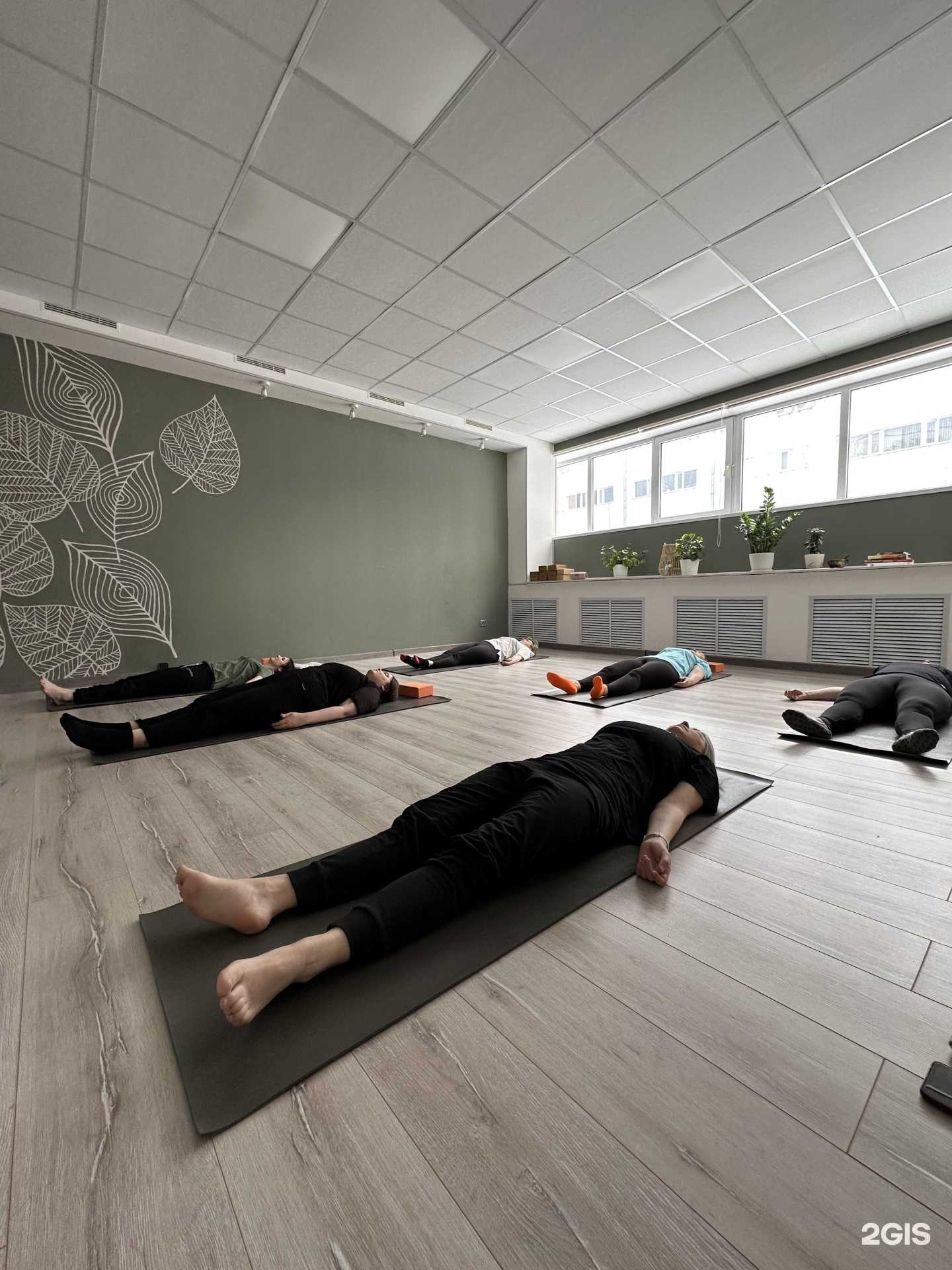 Отзывы на компанию Pausa в Ногинске c фото