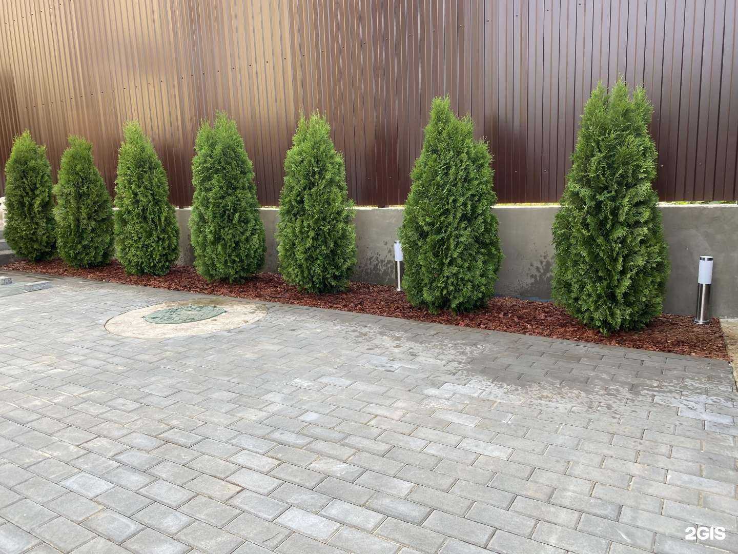 Отзывы на компанию Цветок в г. Калуга c фото