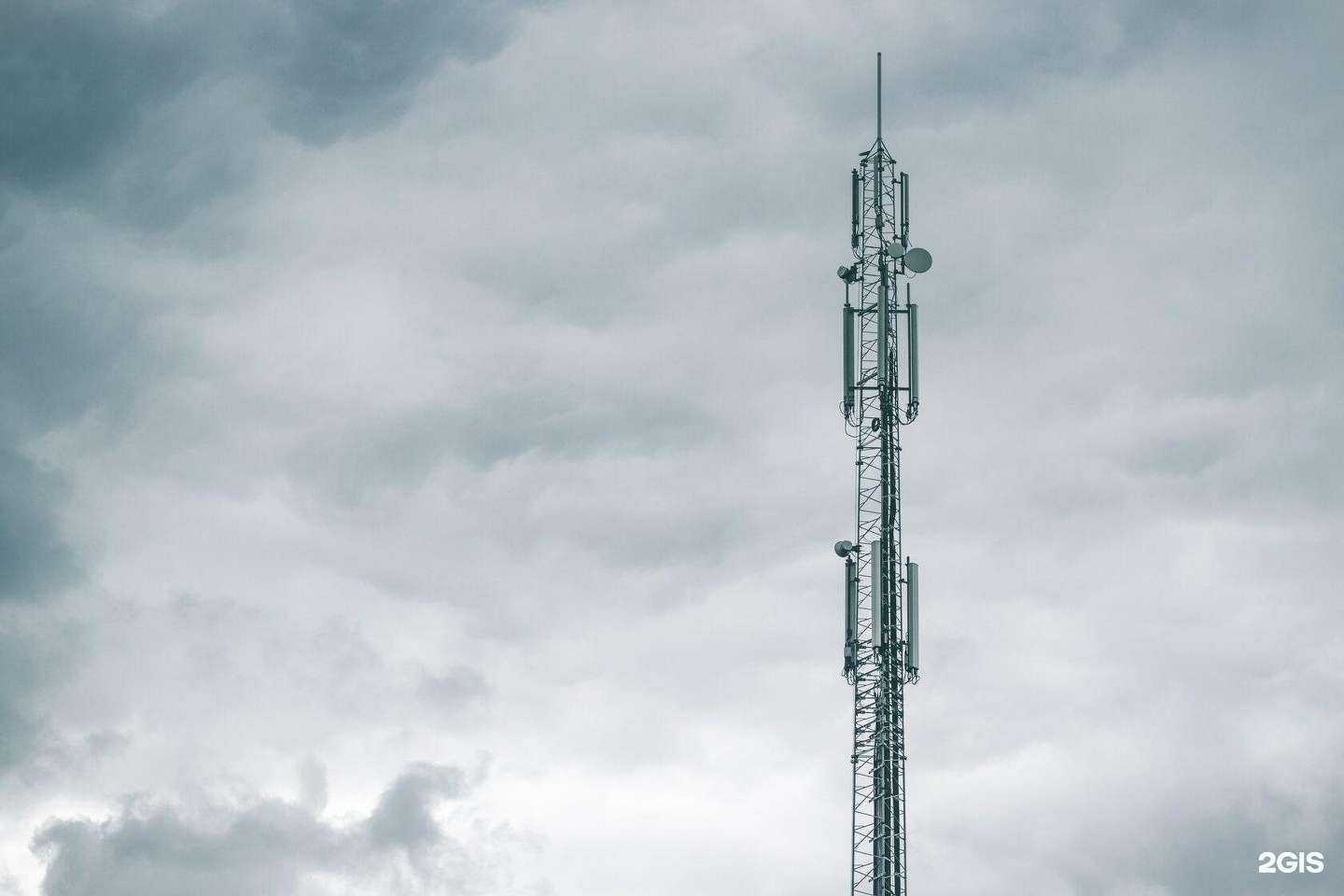 Отзывы на компанию Рутехнолоджис в Новосибирске c фото