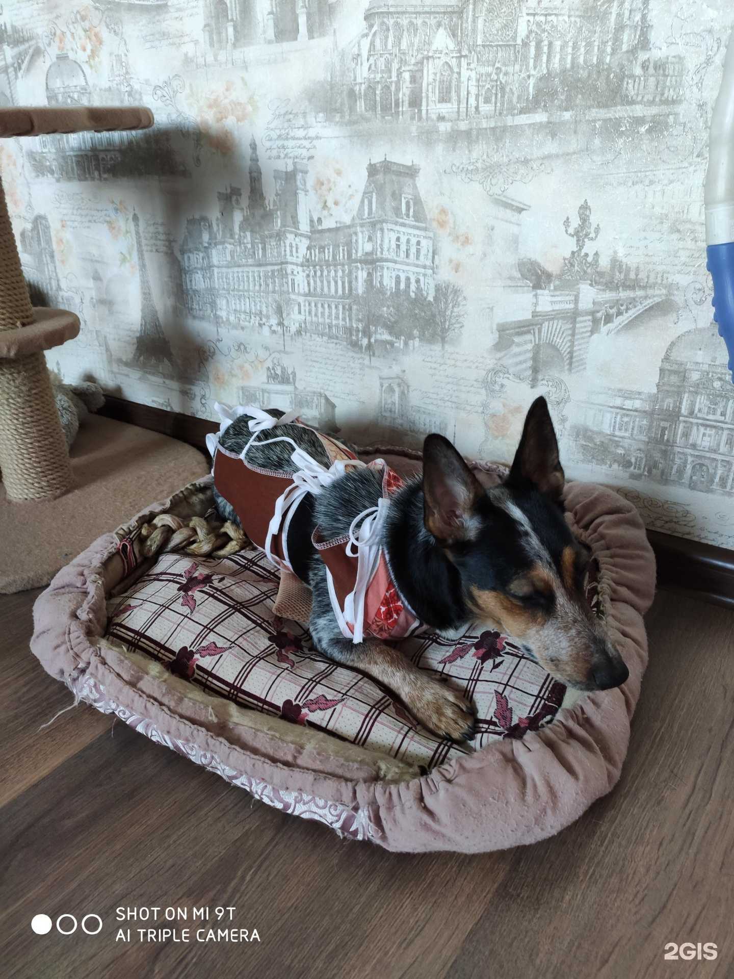 Отзывы на компанию Панацея в Красноярске c фото