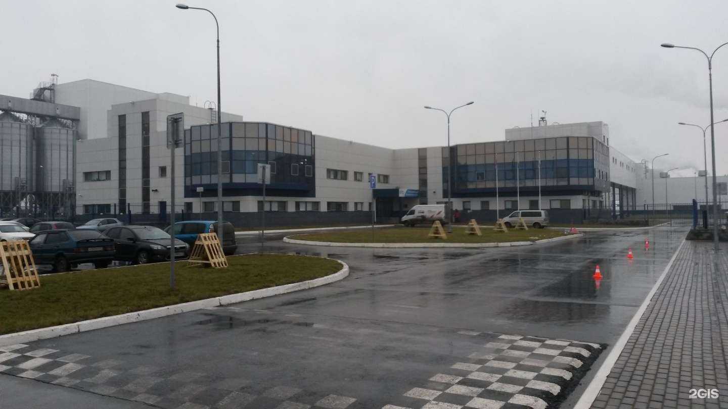 Отзывы на компанию Луч в г. Самара c фото