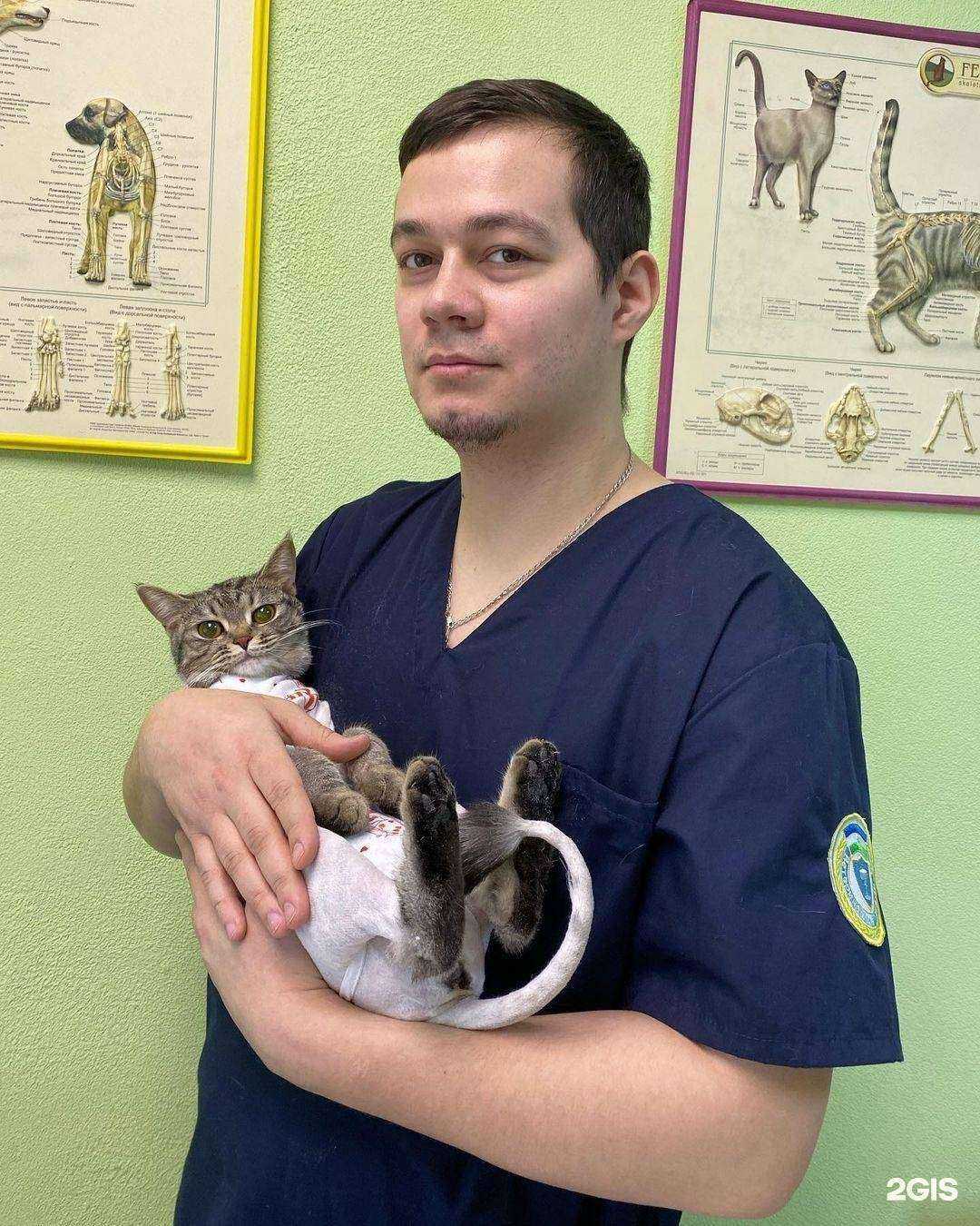 Отзывы на компанию Добролапки в Уфе c фото