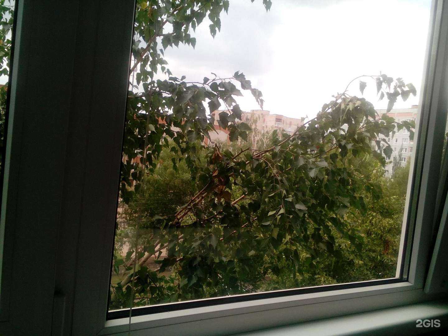 Отзывы на компанию Просто букет в Стерлитамаке c фото - фотография 2 из 2