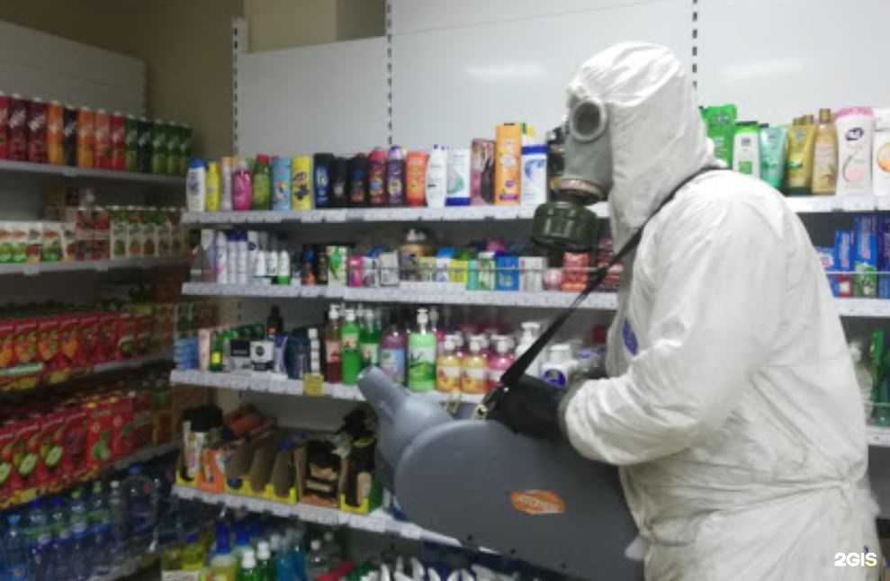 Отзывы на компанию Выездная служба дезинсекции в г. Новосибирск c фото