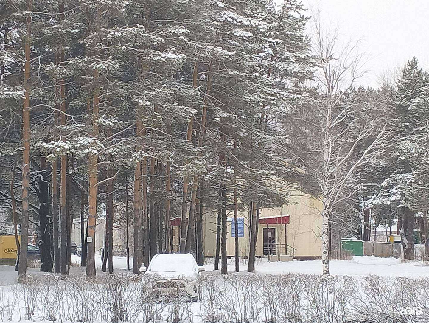 Отзывы на компанию Dooolgushina Tattoo в Сургуте c фото - фотография 2 из 2