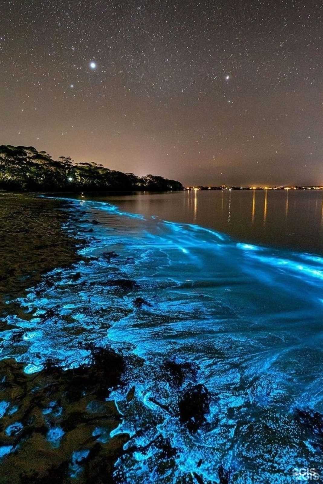 Отзывы на компанию Замок в Грозном c фото