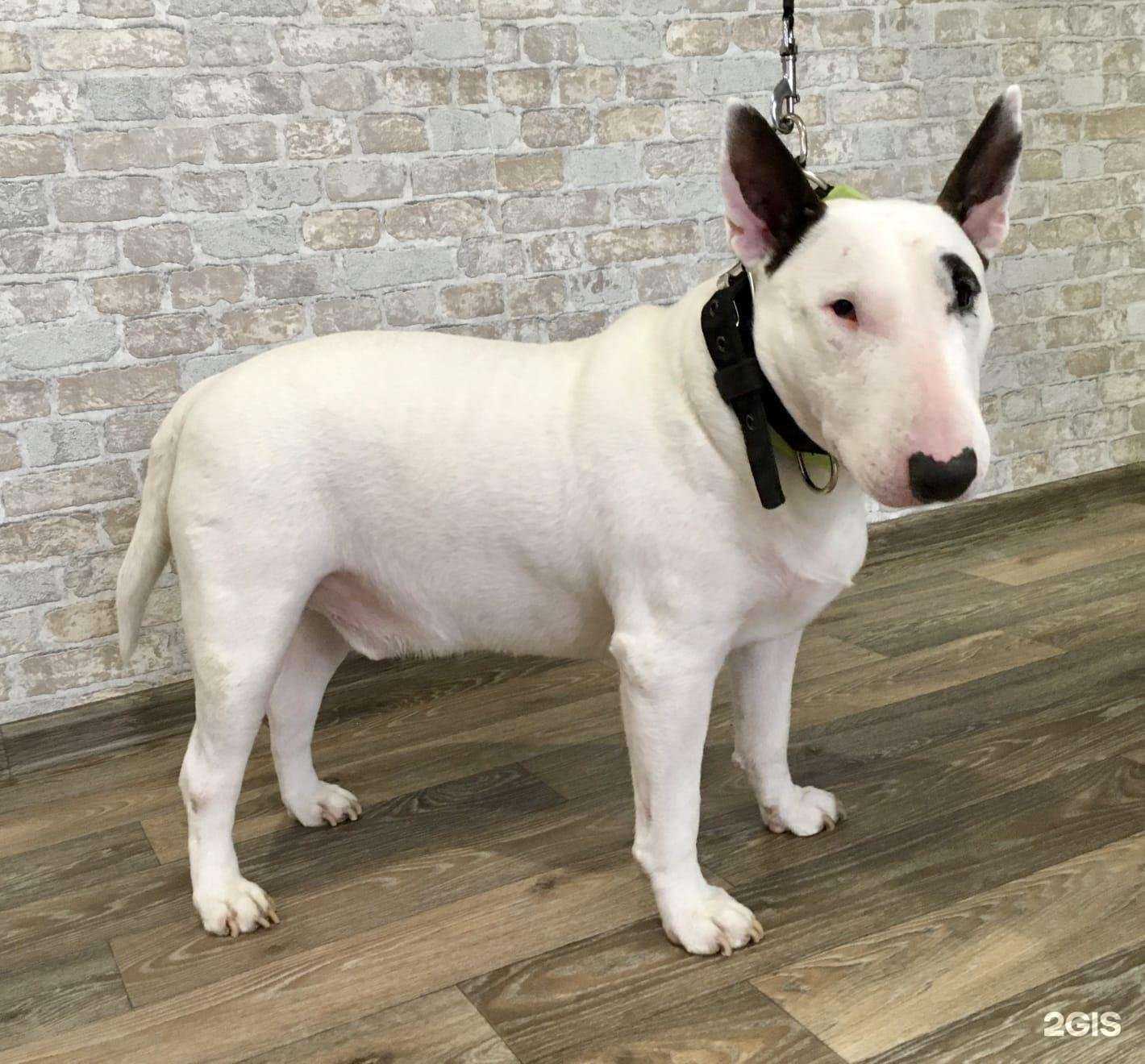 Отзывы на компанию Выбражуля в Тюмени c фото