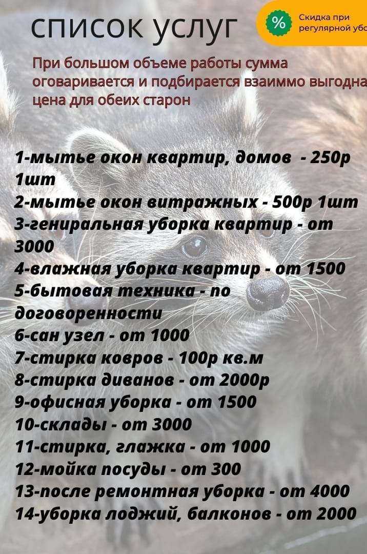 Отзывы на компанию Енот в г. Барнаул c фото