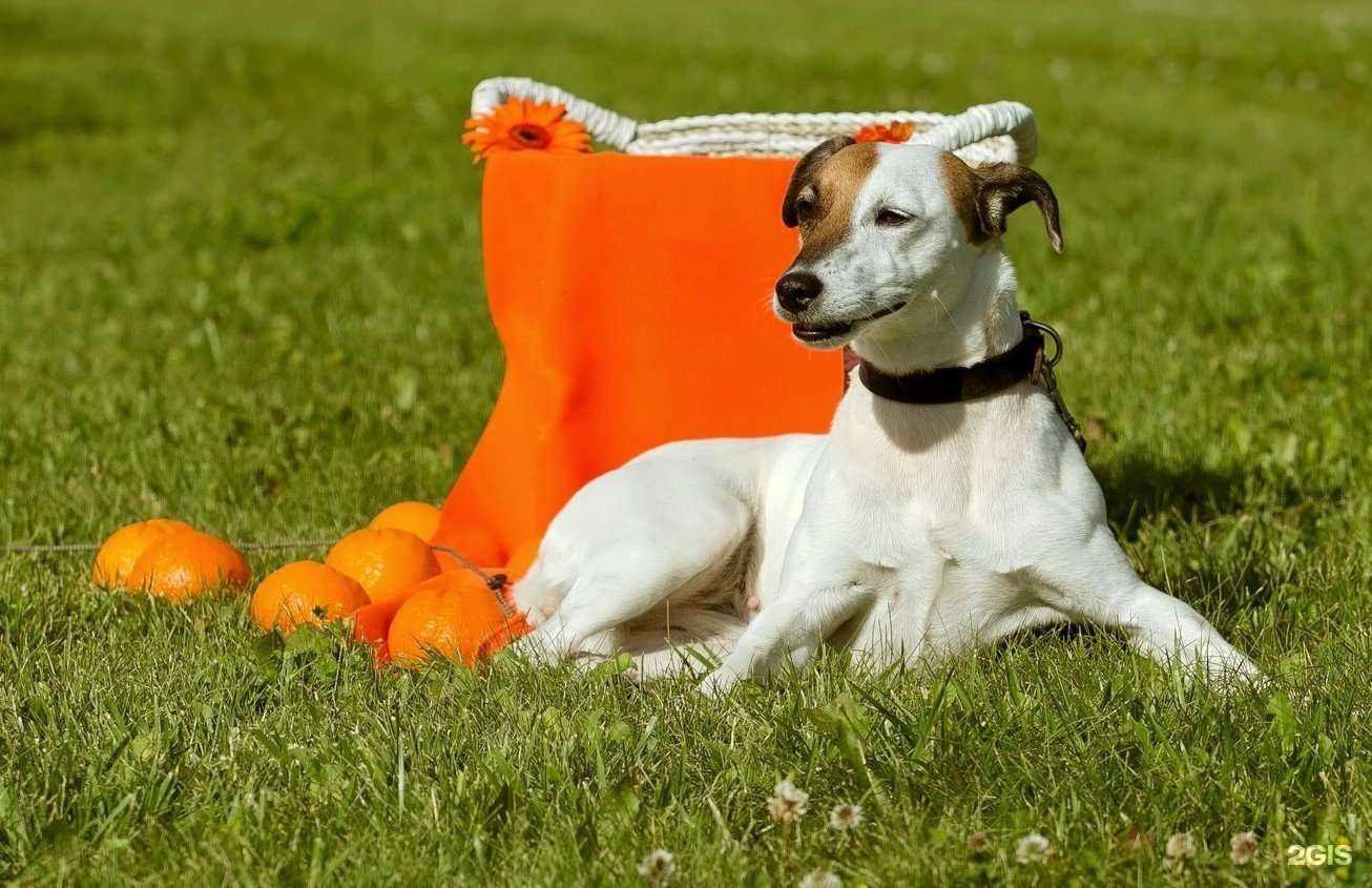 Отзывы на компанию Mandarin в г. Самара c фото