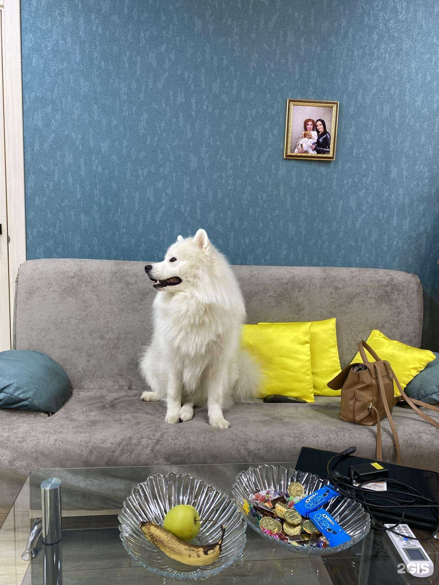 Отзывы на компанию Свита в г. Краснодар c фото