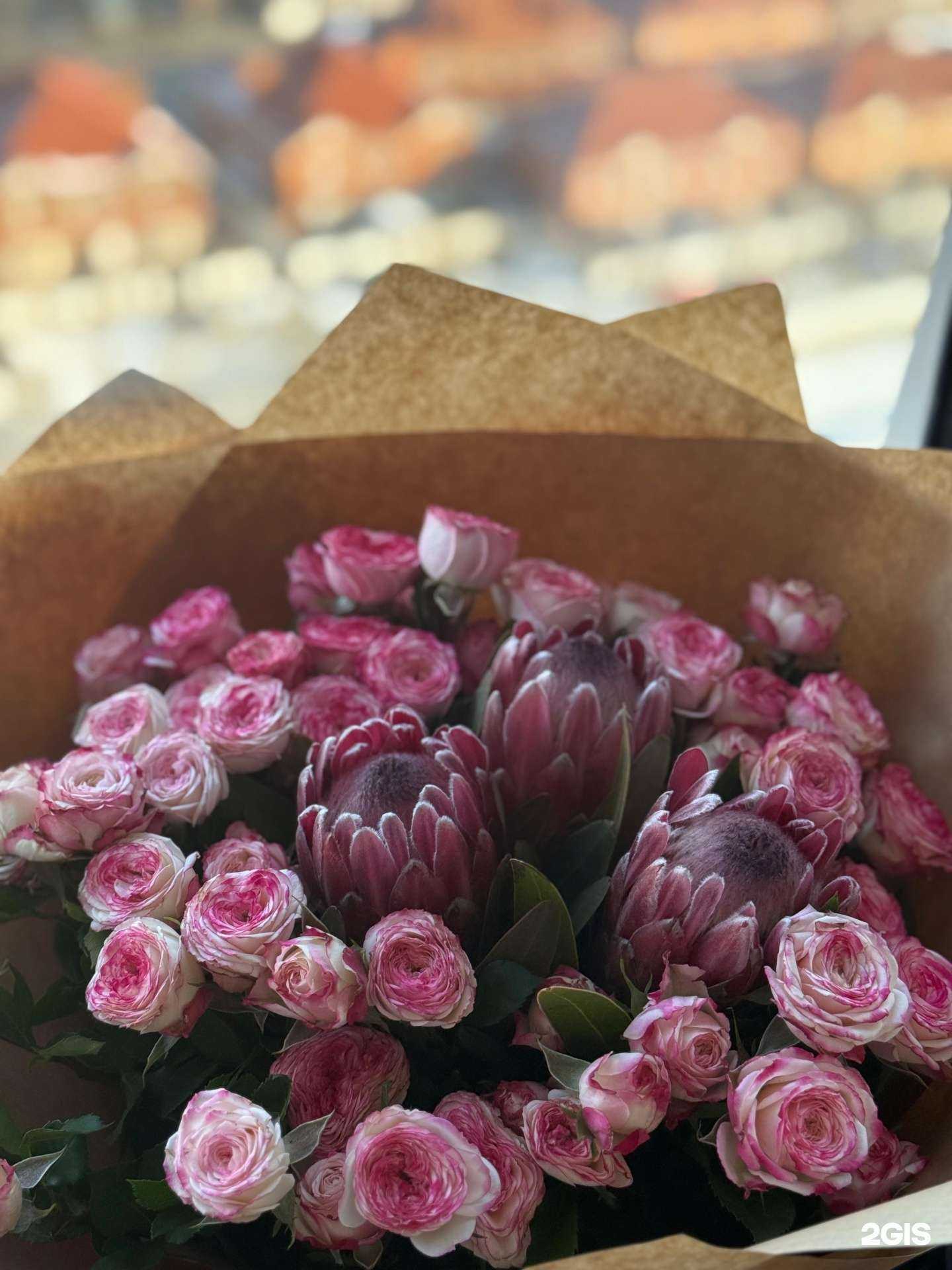 Отзывы на компанию Provans в Краснодаре c фото