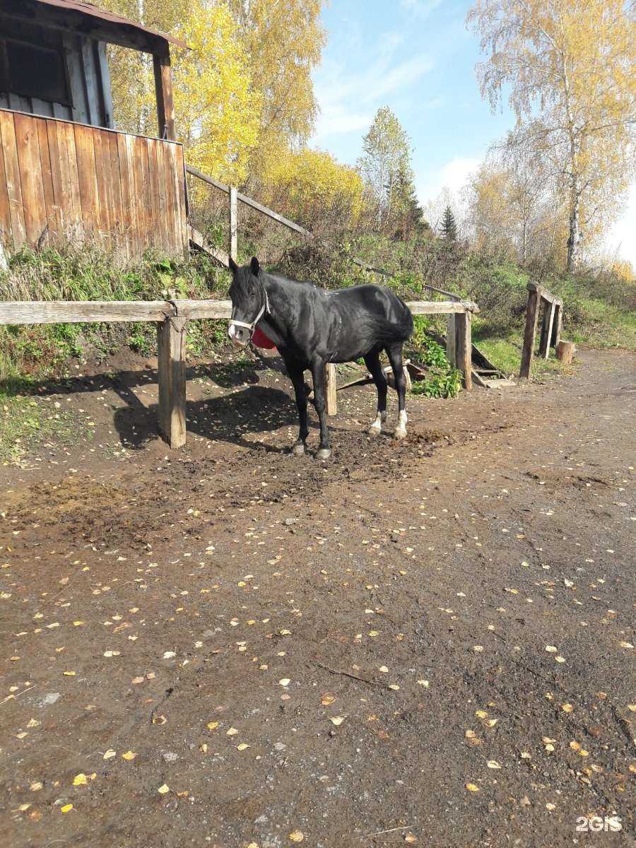 Отзывы на компанию Русская тройка в Томске c фото - фотография 2 из 2