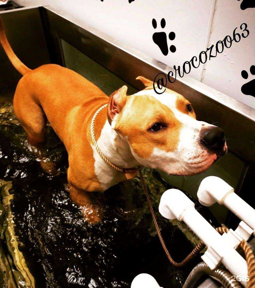 Отзывы на компанию КрокоЗоо в Самаре c фото