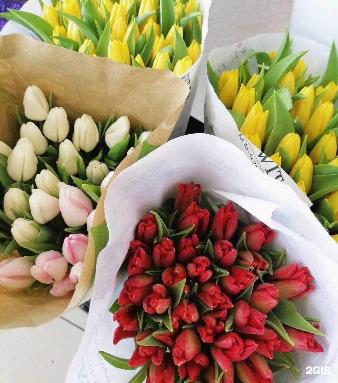 Отзывы на компанию Анна в Новокузнецке c фото