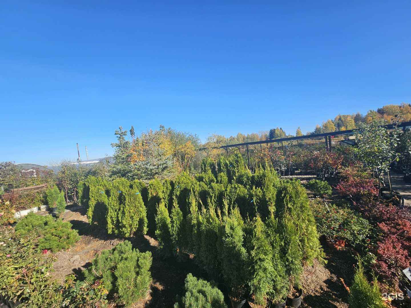 Отзывы на компанию Экосад18 в г. Ижевск c фото