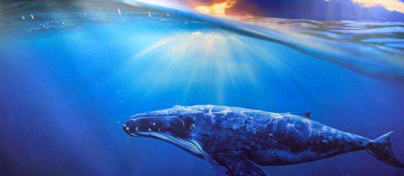 Отзывы на компанию Кит в г. Ярославль c фото