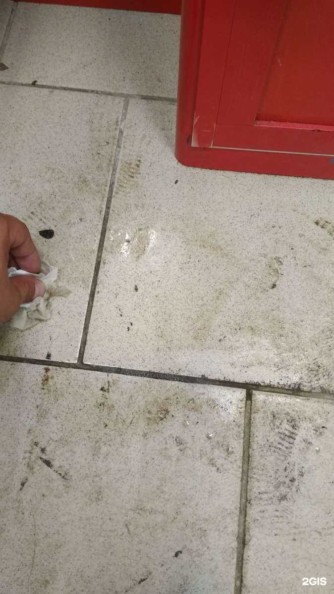 Отзывы на компанию Феникстрейд в Барнауле c фото