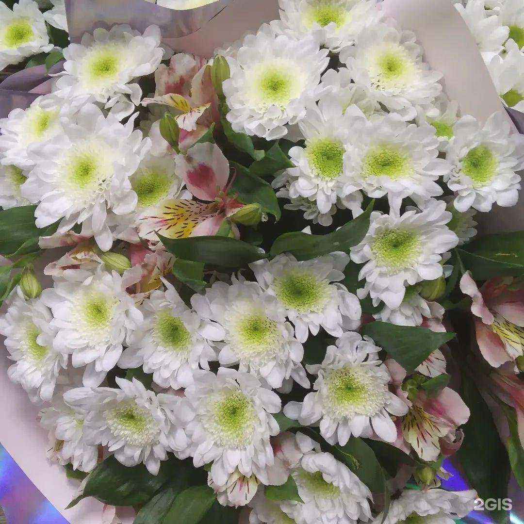 Отзывы на компанию Салон цветов в г. Сургут c фото