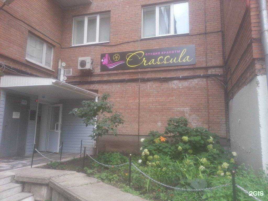 Отзывы на компанию Crassula в г. Тольятти c фото