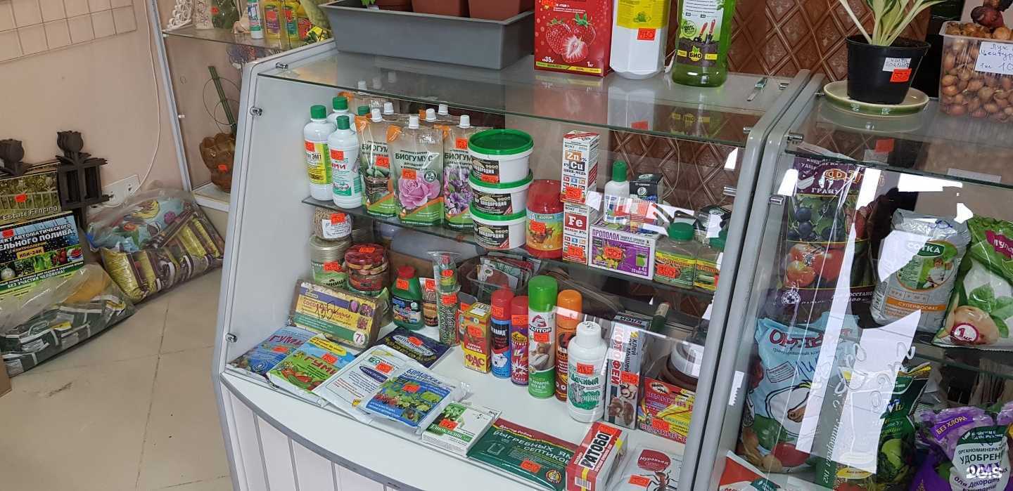 Отзывы на компанию Дом-сад в Омске c фото