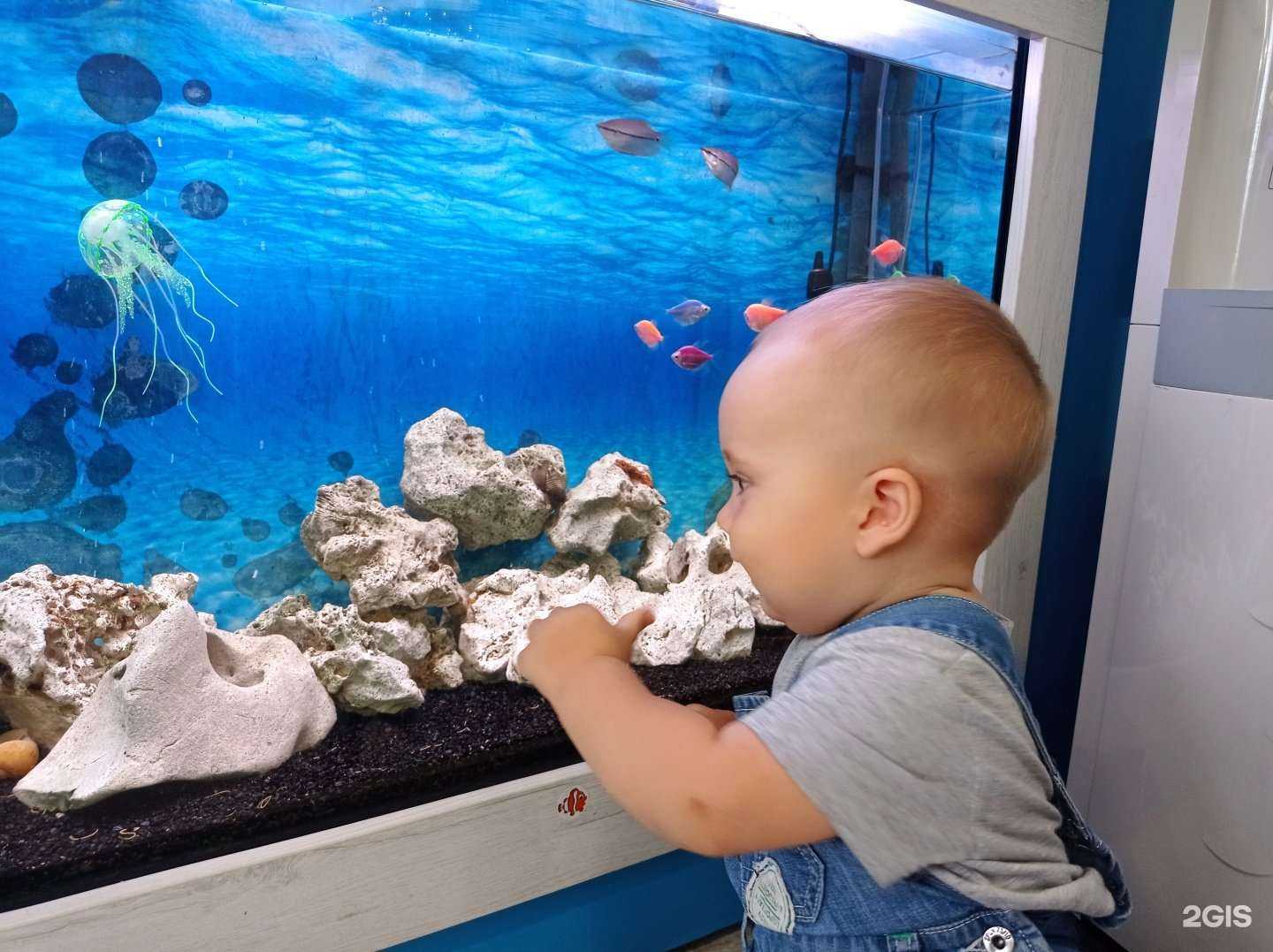 Отзывы на компанию Парикмариум в Саратове c фото