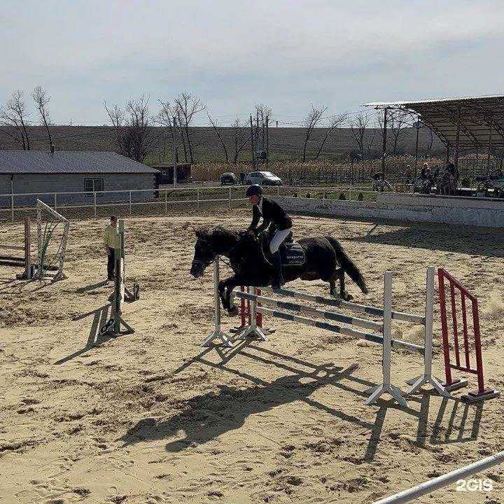 Отзывы на компанию Аллюр в г. Батайск c фото