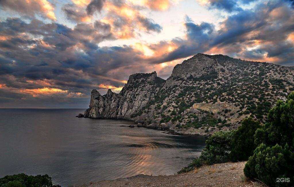 Отзывы на компанию Нижегородская государственная областная детская библиотека им. Т.А. Мавриной в Нижнем Новгороде c фото