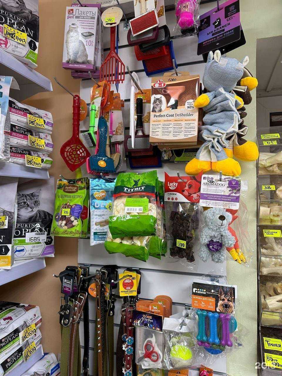 Отзывы на компанию Дружок в Ижевске c фото