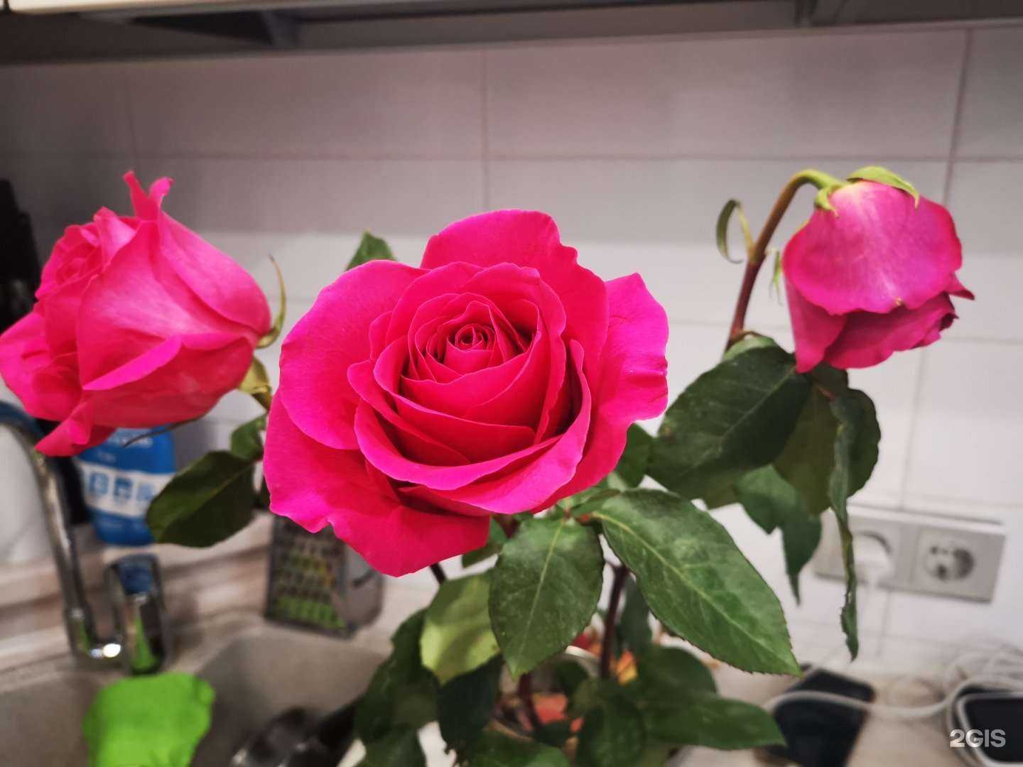 Отзывы на компанию Гранд Букет в Новосибирске c фото