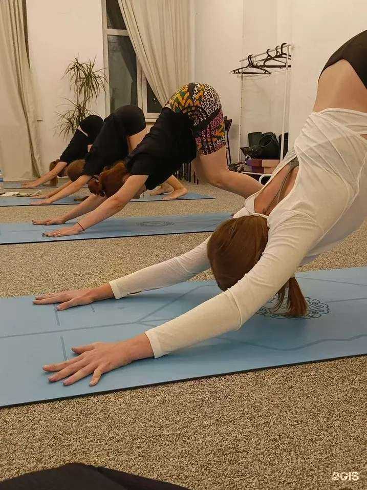 Отзывы на компанию Fysm в г. Ростов-на-Дону c фото