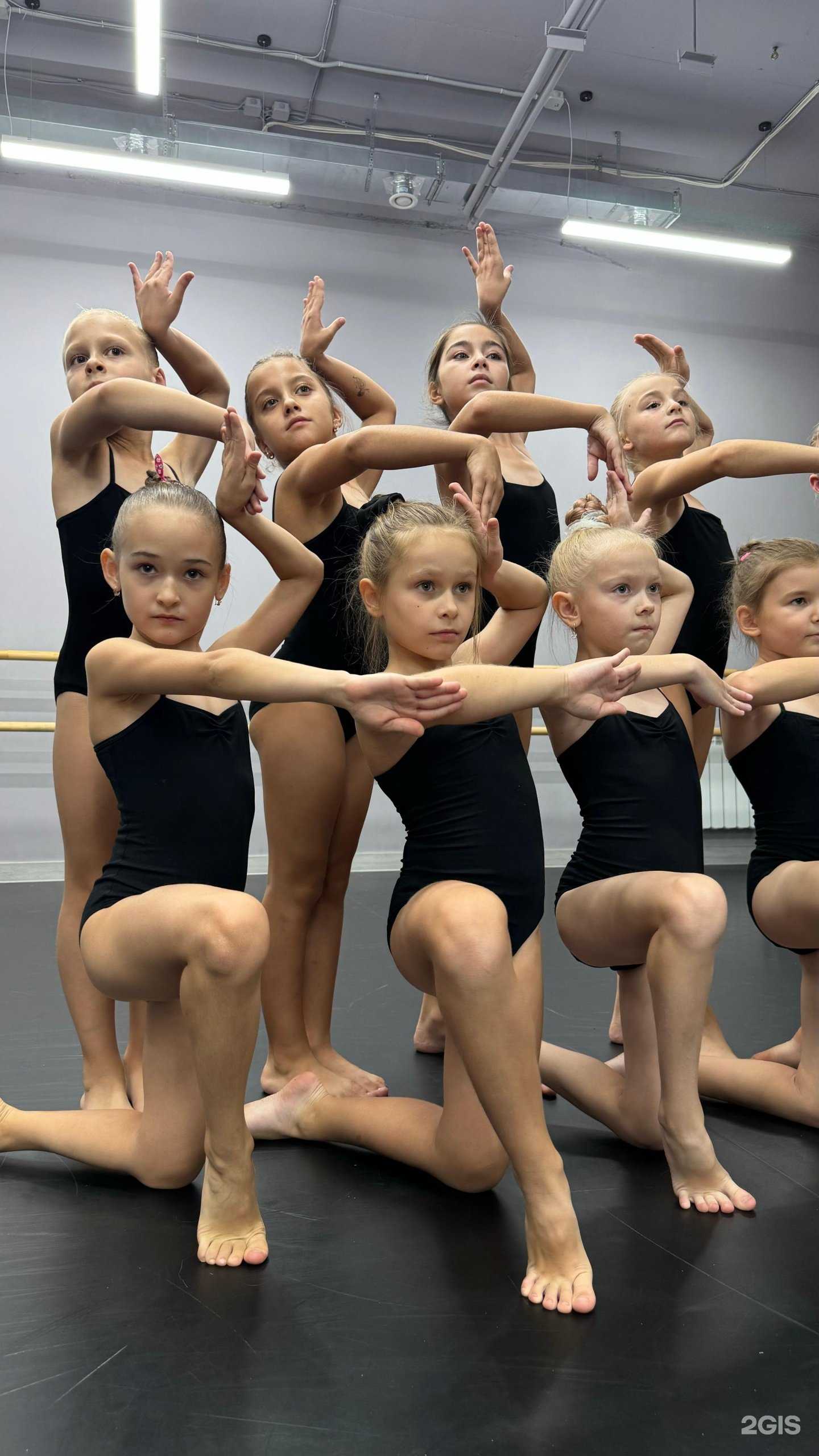 Отзывы на компанию Урсула в г. Ростов-на-Дону c фото