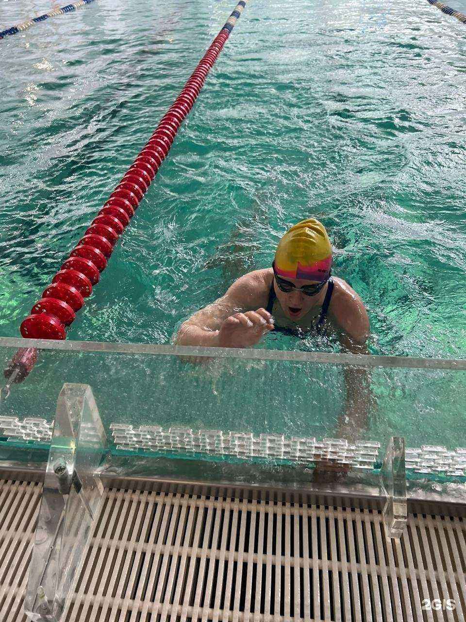 Отзывы на компанию Дельфин в Ногинске c фото