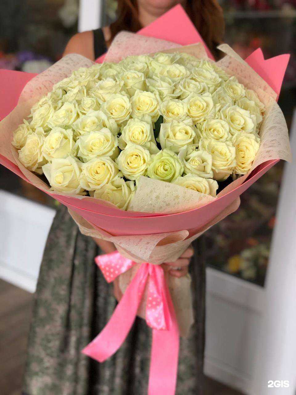 Отзывы на компанию Зеленый слон в г. Краснодар c фото