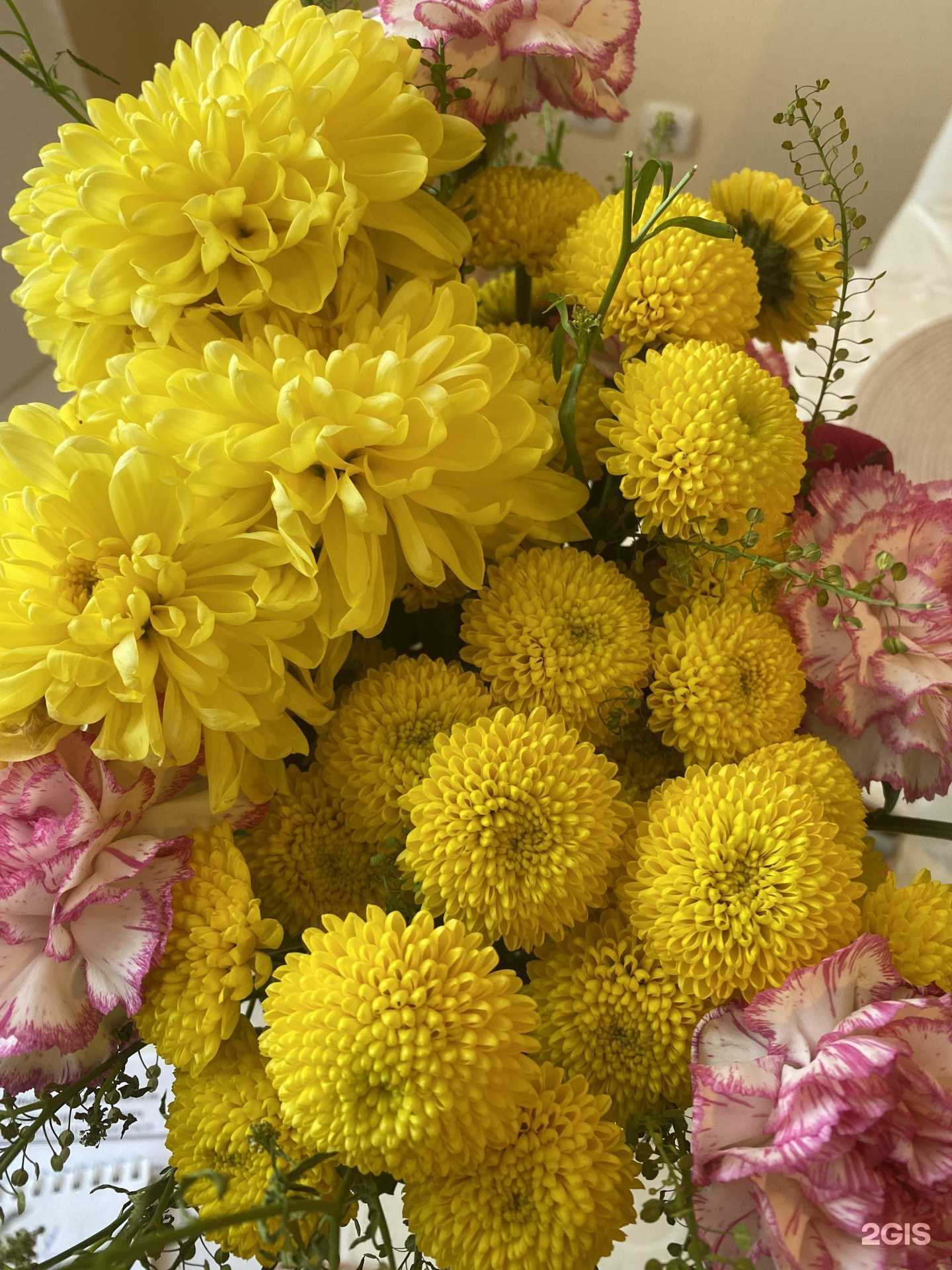 Отзывы на компанию MEGAFLOWERS в г. Челябинск c фото