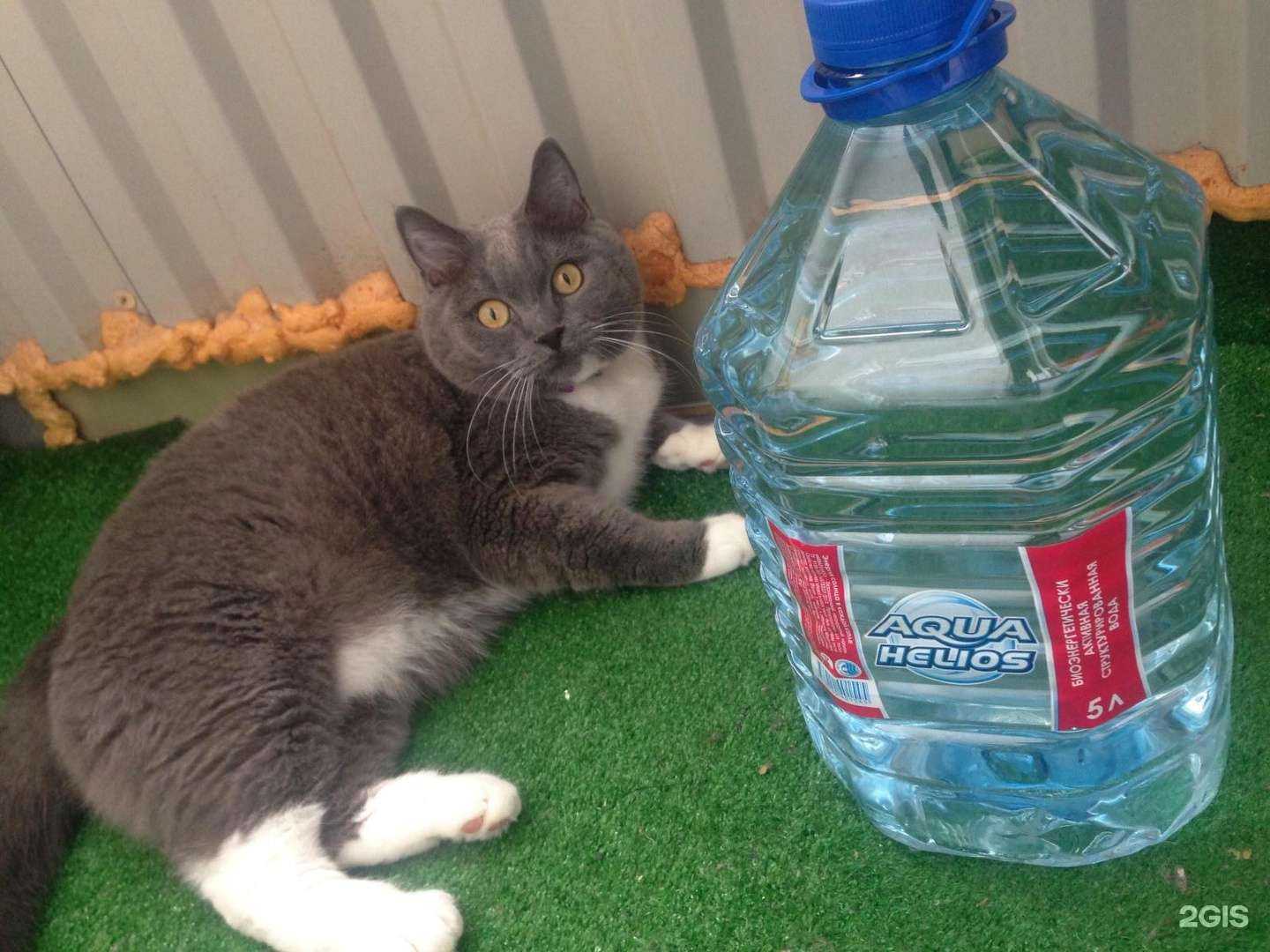 Отзывы на компанию Аквагелиос в Новосибирске c фото