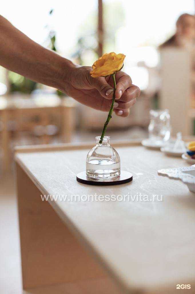 Отзывы на компанию Монтессори Вита в г. Геленджик c фото