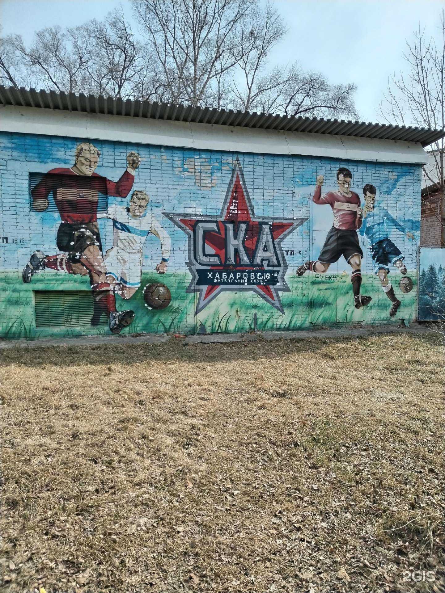 Отзывы на компанию Ска-Хабаровск в Хабаровске c фото