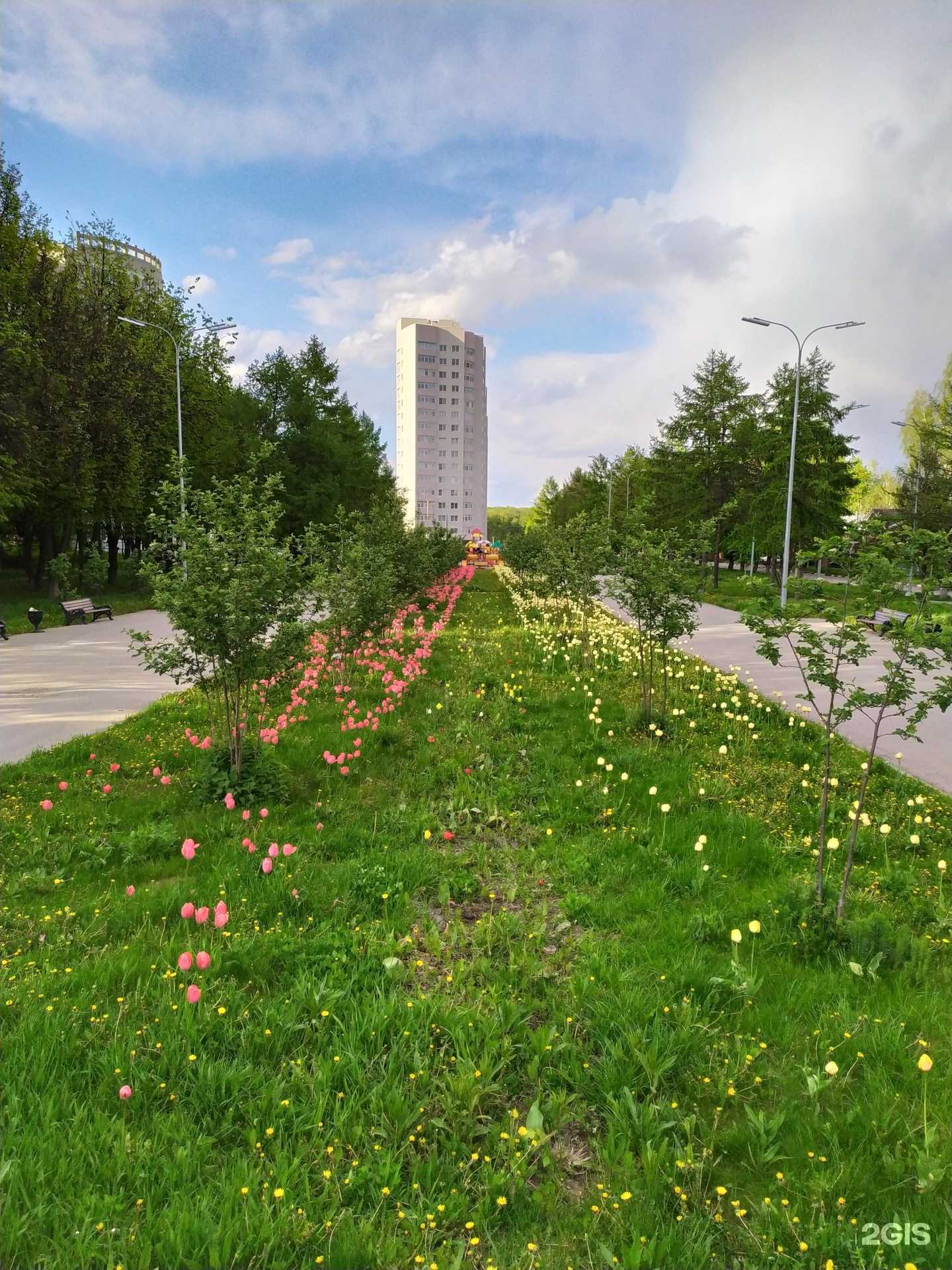 Отзывы на компанию Современная стоматология в г. Тула c фото