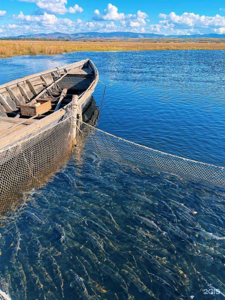 Отзывы на компанию Главрыбвод в г. Улан-Удэ c фото