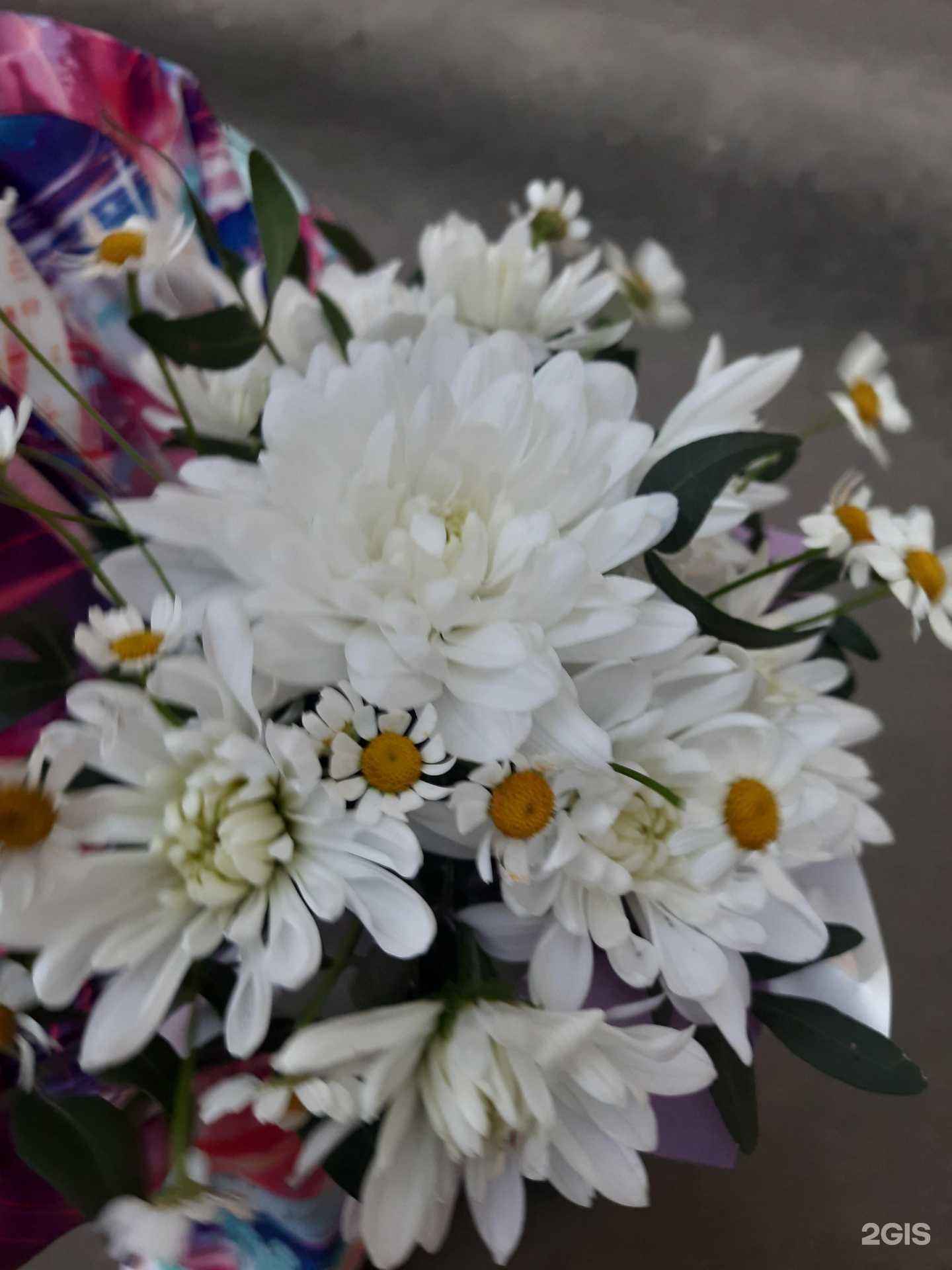 Отзывы на компанию Сити Флора в г. Ярославль c фото