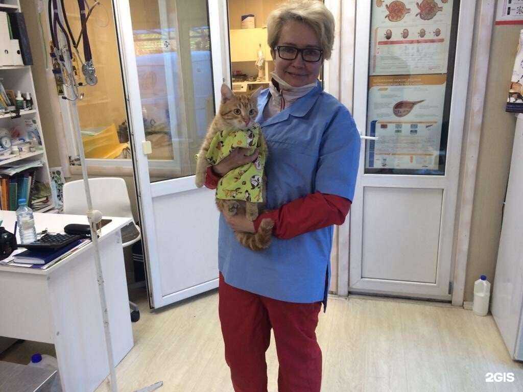 Отзывы на компанию Ветпомощь в Котельниках c фото