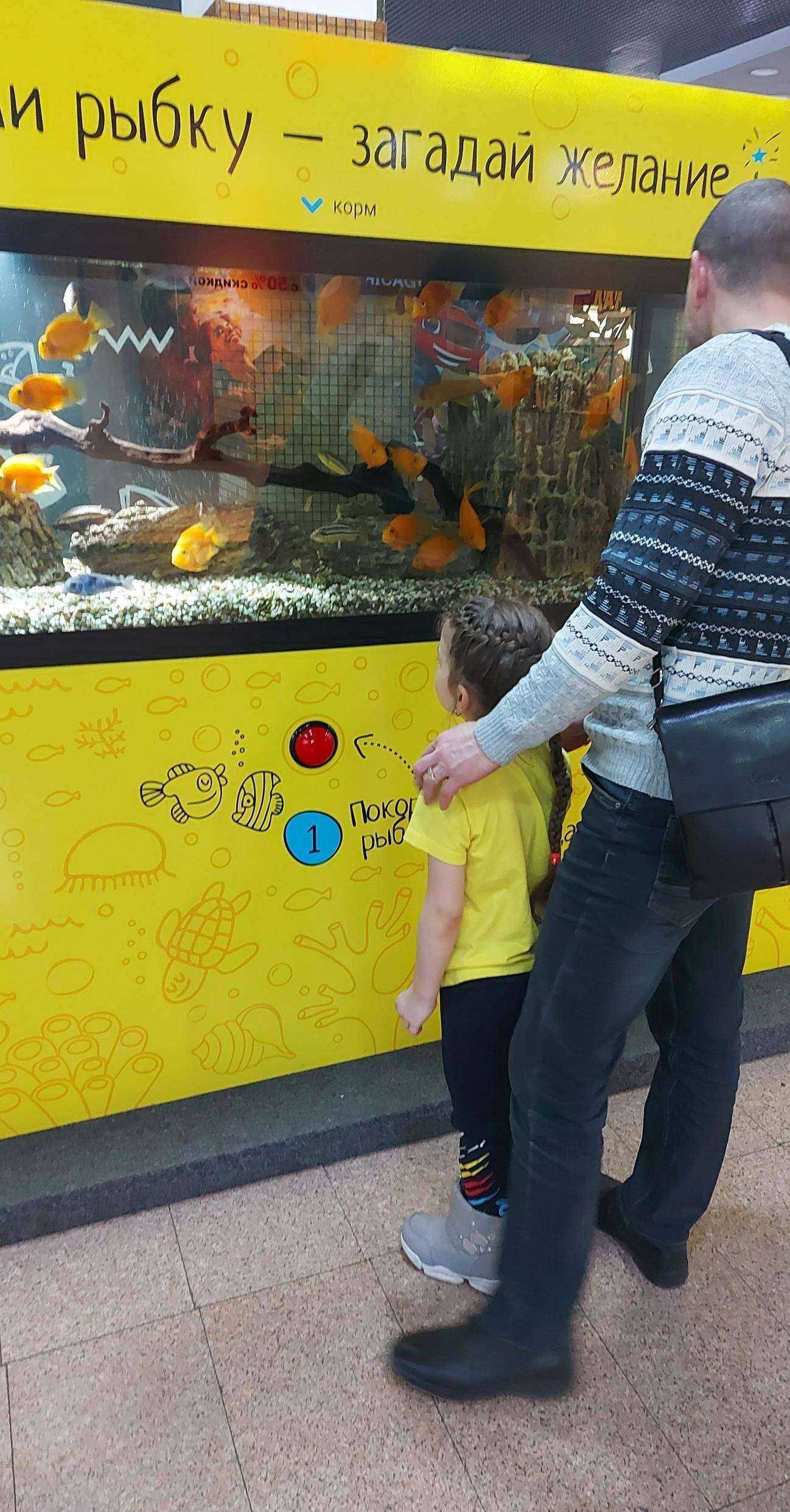 Отзывы на компанию Море желаний в Барнауле c фото