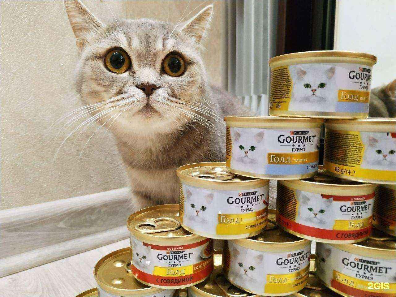 Отзывы на компанию Бишенели в г. Пермь c фото