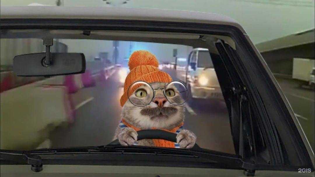 Отзывы на компанию Dadetal в Череповце c фото