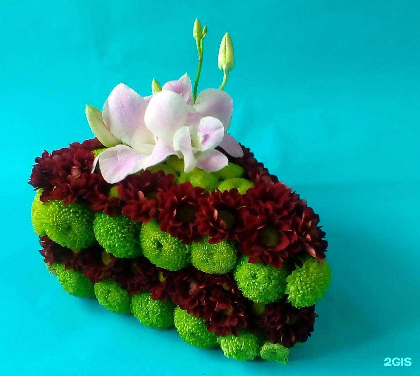 Отзывы на компанию Флория в Твери c фото