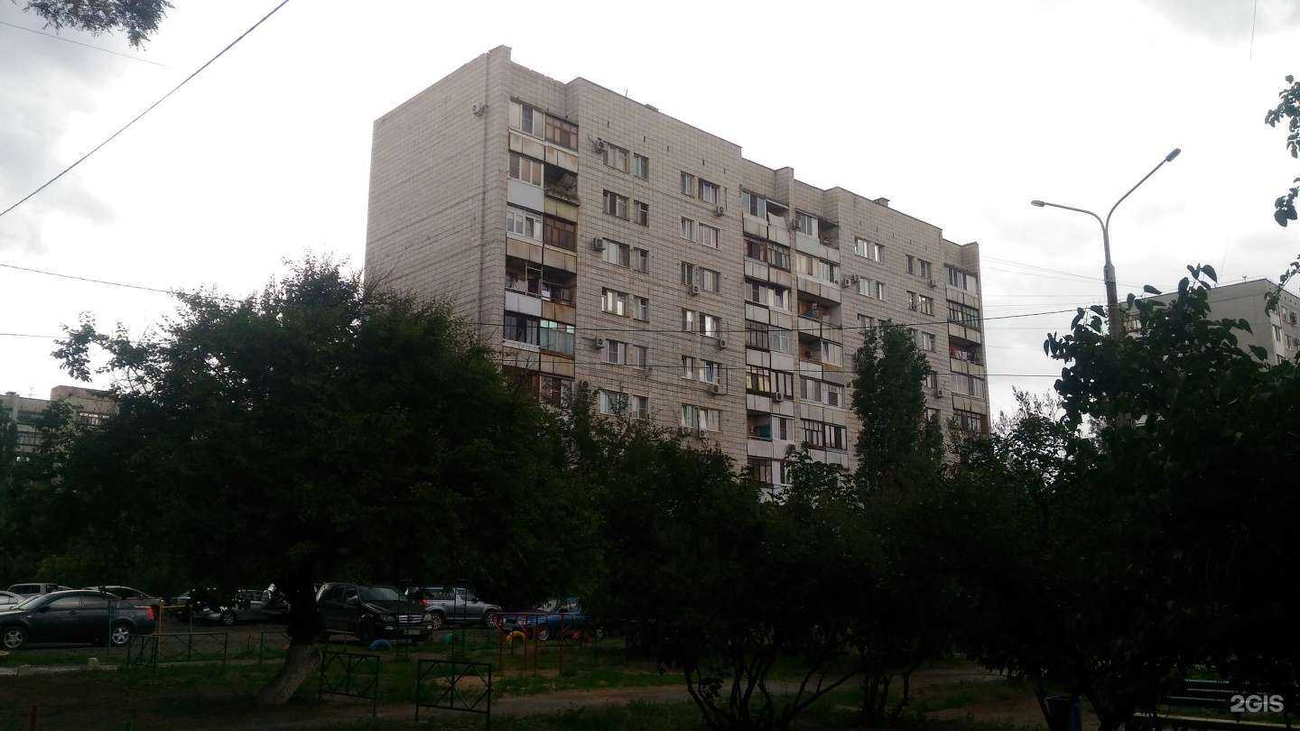 Отзывы на компанию Салон груминга в Волгограде c фото - фотография 2 из 2