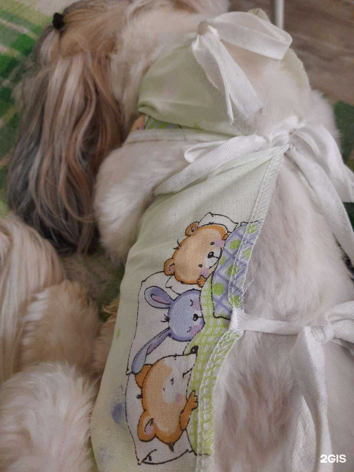 Отзывы на компанию Мухтар в г. Красноярск c фото